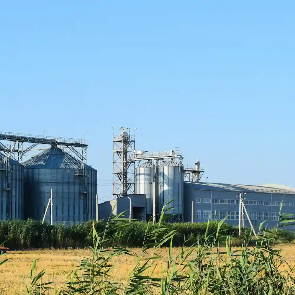 Jaggery Plant Consulting & Project Services