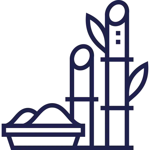 Sugar Plant Icon